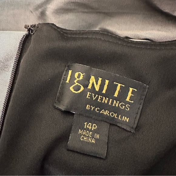 Ignite Evenings Black and Gray Embroidered Midi Dress, 14P - Picture 10 of 13